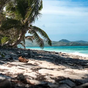 Palmen, die sich über einen Sandstrand mit türkisfarbenem Wasser neigen, und in der Ferne grüne Berge unter blauem Himmel.